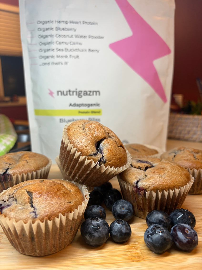 Best Blueberry Protein Muffins (Gluten-Free & High Protein Recipe)