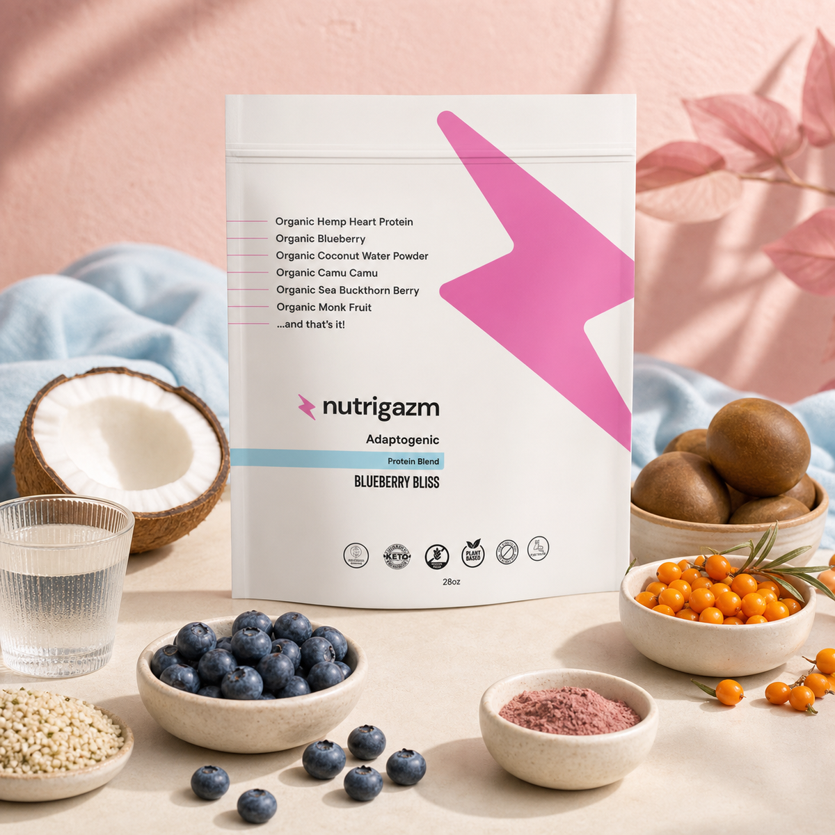 Blueberry Bliss ingredients arranged around the Nutrigazm pouch